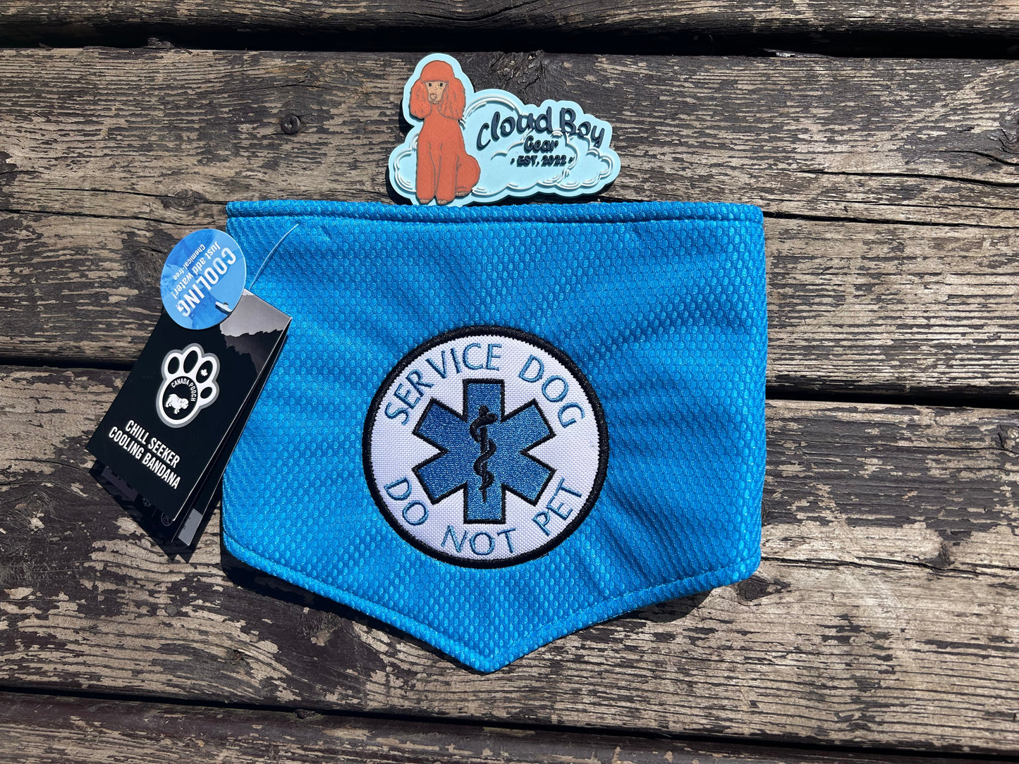 🧊🐾⚕️Cooling bandanas ⚕️🐾🧊