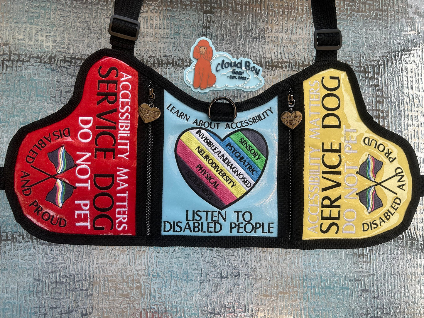 ♿️🥄disability pride flag set 🎗️⚕️