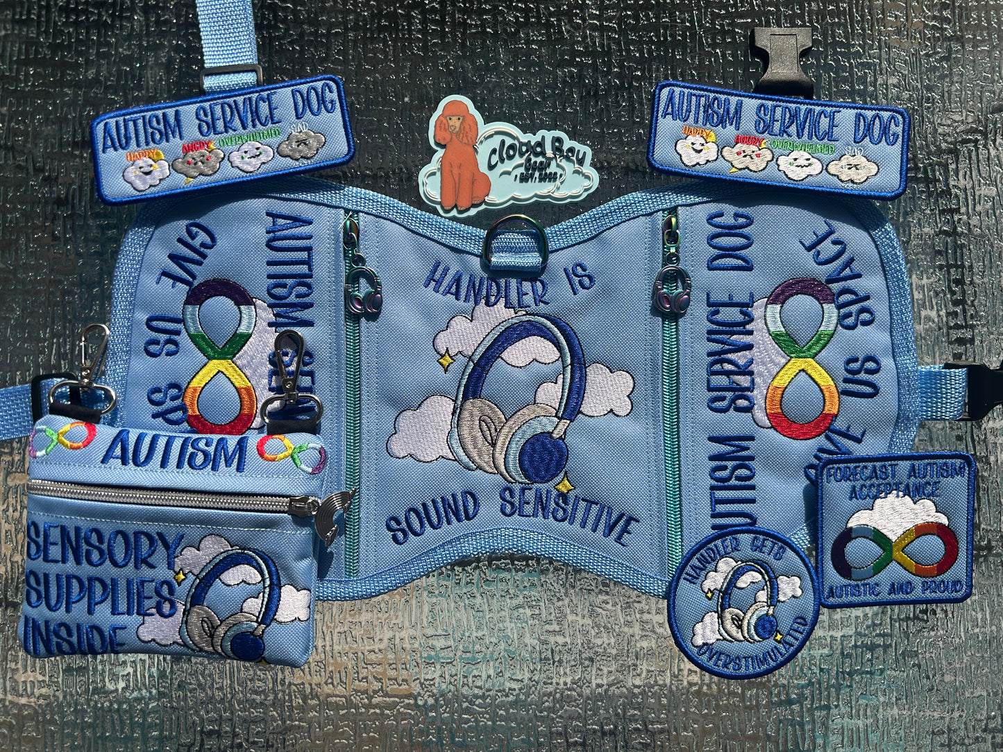 ☁️♾️ autism headphone set 🌈🎧