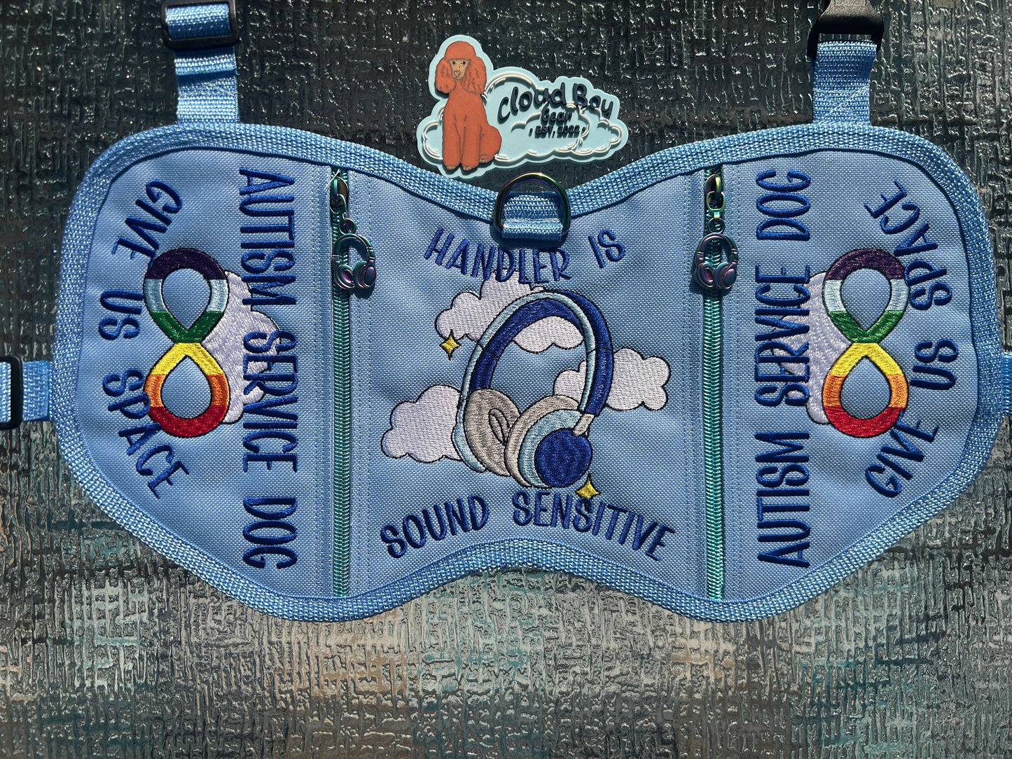 ☁️♾️ autism headphone set 🌈🎧