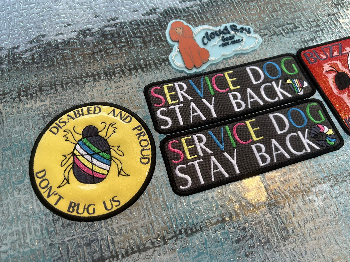 🐝♿️ insect disability pride set 🐞♿️