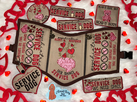 🧠💗Mental Health 18” Convertible + Patch Set + Accessories