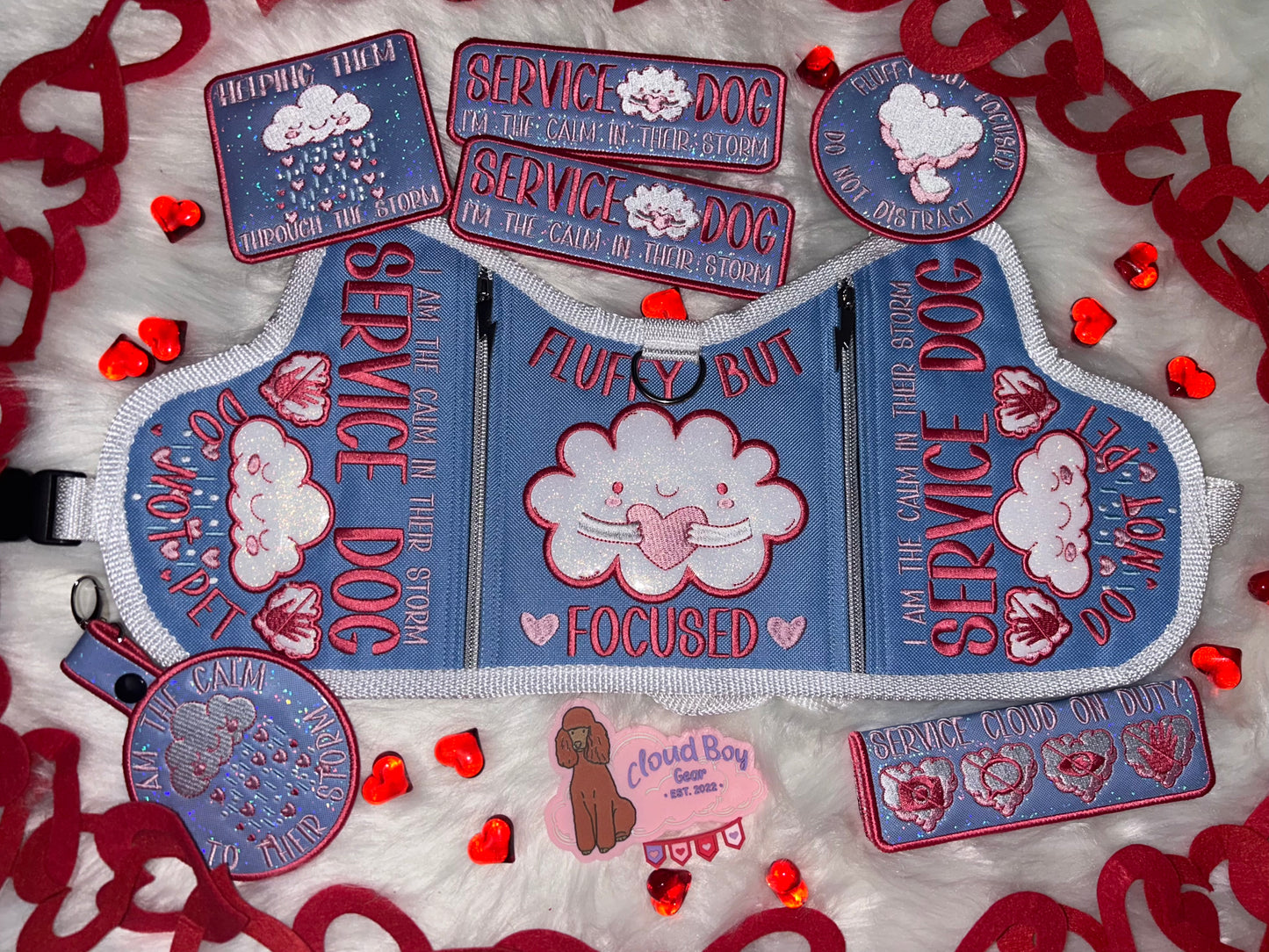 ☁️💗Cloud 18” Y-Front + Patch Set + Accessories (Flawed)