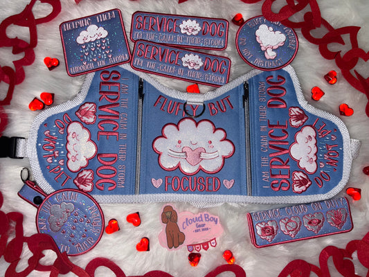 ☁️💗Cloud 18” Y-Front + Patch Set + Accessories (Flawed)